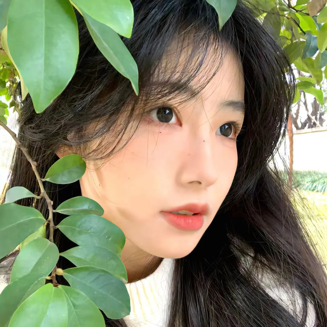 龙卷风警报